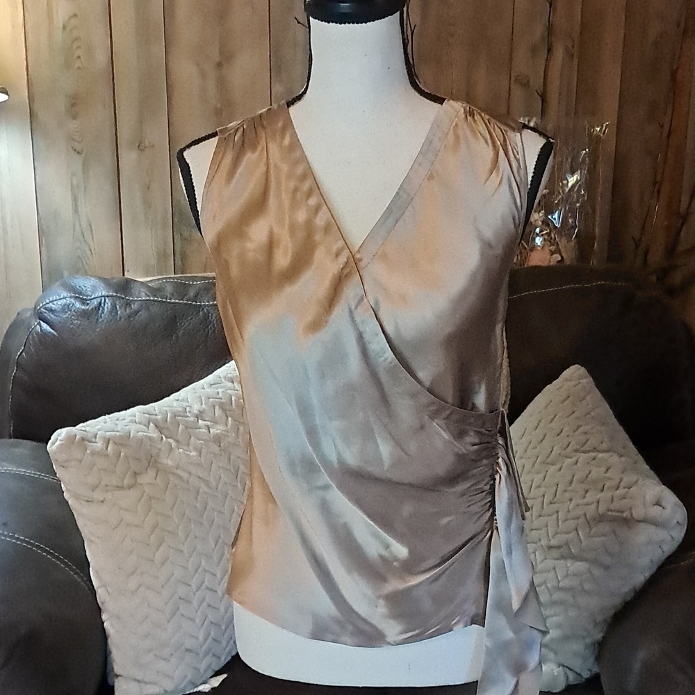 Allison Taylor Shimmering Beige/Gold Sleeveless Silk Blouse Top Size S